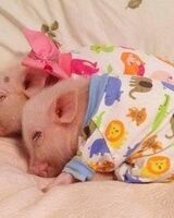 Марина Марина