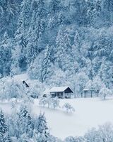 Василиса Василиса