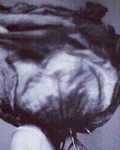 Слава Цунаев