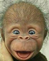 Хайруллин Ахмут