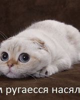 Оксана Хххх