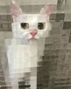 Евгений Савицкий