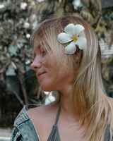 Алексис Морт