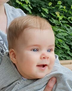 Григорий Шаентаренко