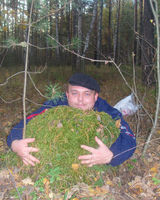 Дмитрий Авдеев