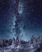 Татьяна Логинова
