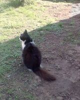 Марина Букаева