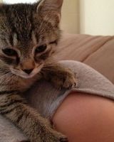 Ольга Васильева