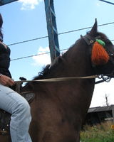 Лариса Интулова