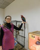 Ольга Лунёва