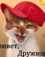 Саша Саша