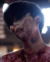 Кристина Ан