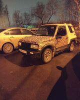 Oльга Ратникова