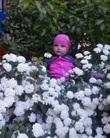 Анна Чобанян
