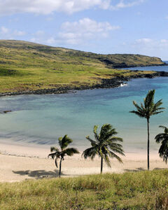 Башова Мария