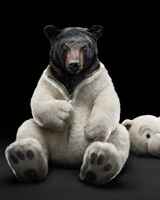 Станислав Ромашов