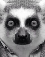 Михаил Ростков