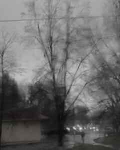 Суров Ренат