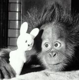 Данила Шнайдер