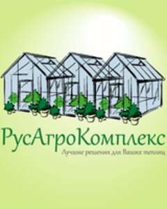 Анна Никулина