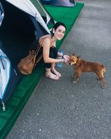 Полина Новикова