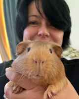 Виолетта Кабанова