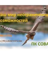 Удачный Бизнес