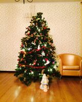 Ирина Петухова