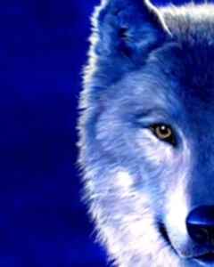 Сергей Погребной