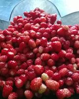 Владислав Перфилов