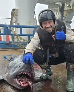 роман цибизов