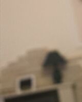 Арина Солохина