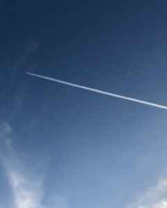 Татьяна Логинова