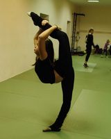 Министрелия 