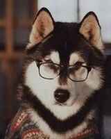 София Веронурм