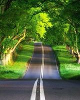 Яна Ягужинская