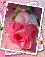 Наталья Ново