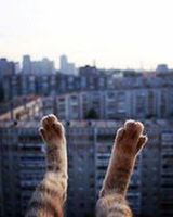 Алевтина Шомысова