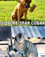 Инна Бродовикова