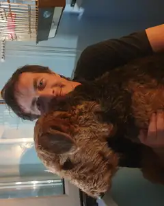 Алексей Гриневич