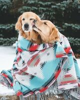 Костя Костин