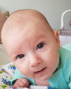 Дмитрий Перепёлкин