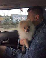 Никита Рубцов