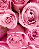 Айгуль-Ильдар Абнасыровы