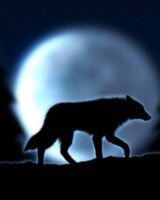 Тимур Халматов