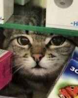 Вадим Матвеев