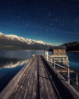 Елена Верховцева