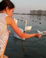 Лиза Щербакова