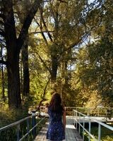 Влада Моисеенко