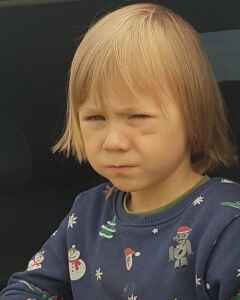 Ратибор Польгин